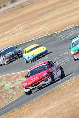 media/May-06-2023-Lucky Dog Racing (Sat) [[8f2256f436]]/Turn 2 10a/